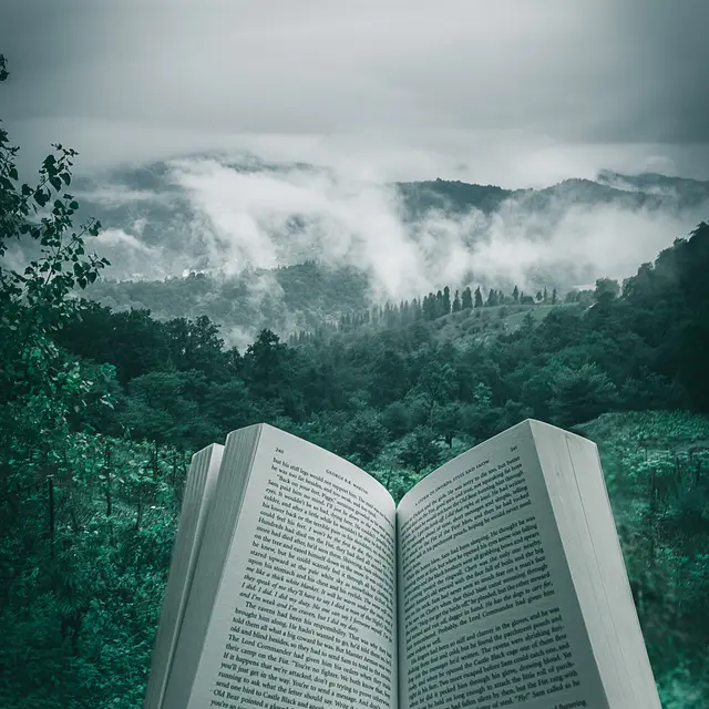 kourosh-qaffari-RrhhzitYizg-unsplash