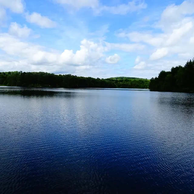 lac de miel