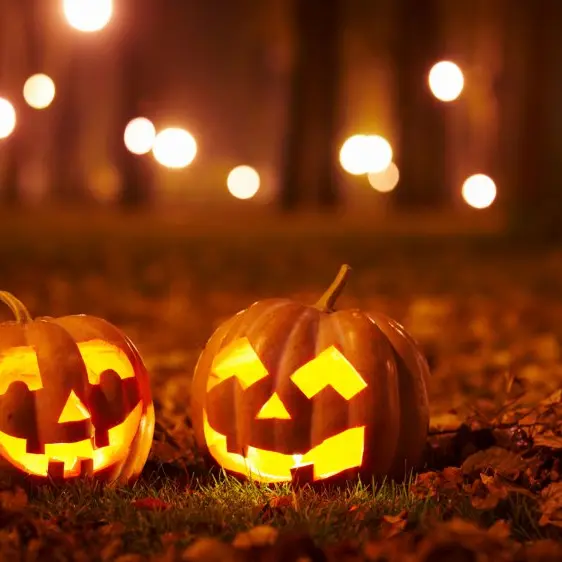 lhistoire-dhaloween
