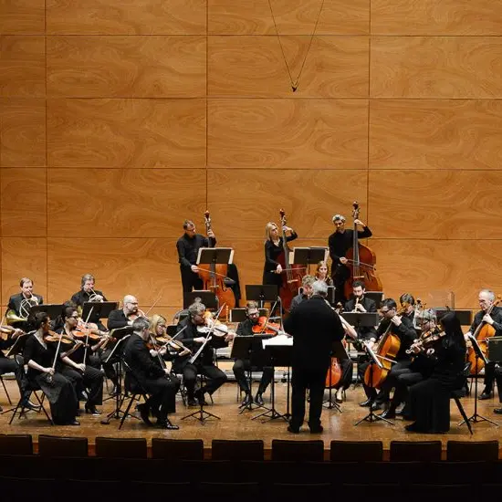 musicienslouvre5aout