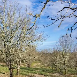 ok visite 6 juillet - Gintrac© Lot Tourisme - C. Novello