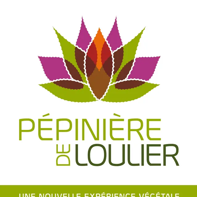 pepiniere de loulier