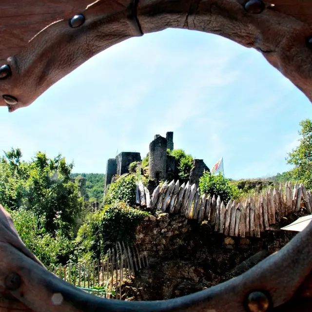 photo tours de merle Michel Boyer