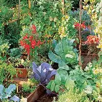 potager en carré