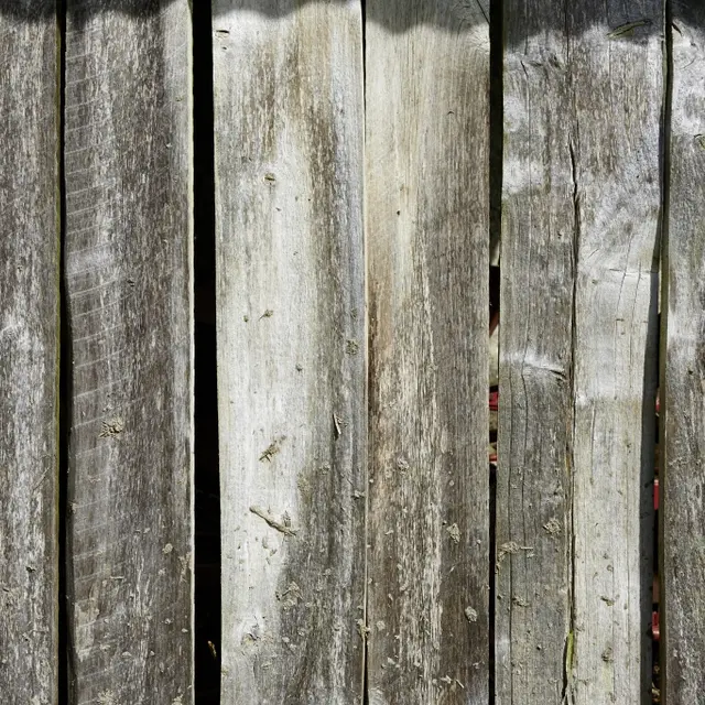 planche