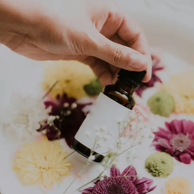 priscilla-du-preez-ukZazKwQpec-unsplash