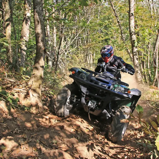 quadrezienne