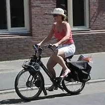 solex
