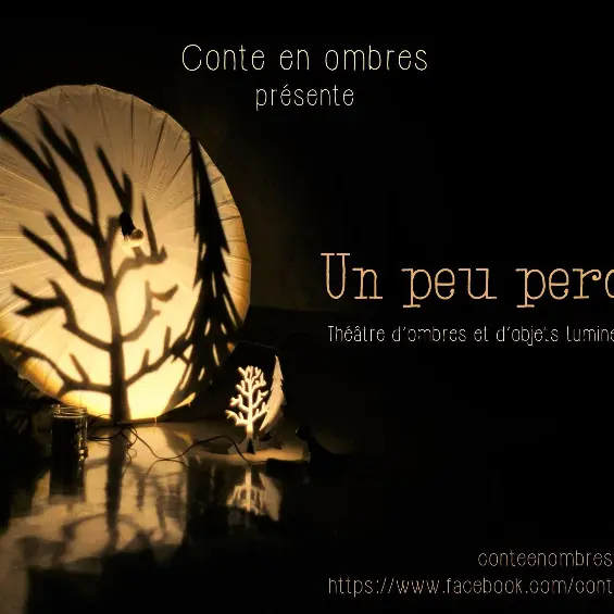 spectaclePPun_peu_perdu