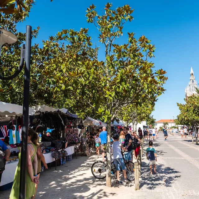 Marché saisonnier Lit-et-Mixe-3666-Yohan_ESPIAUBE