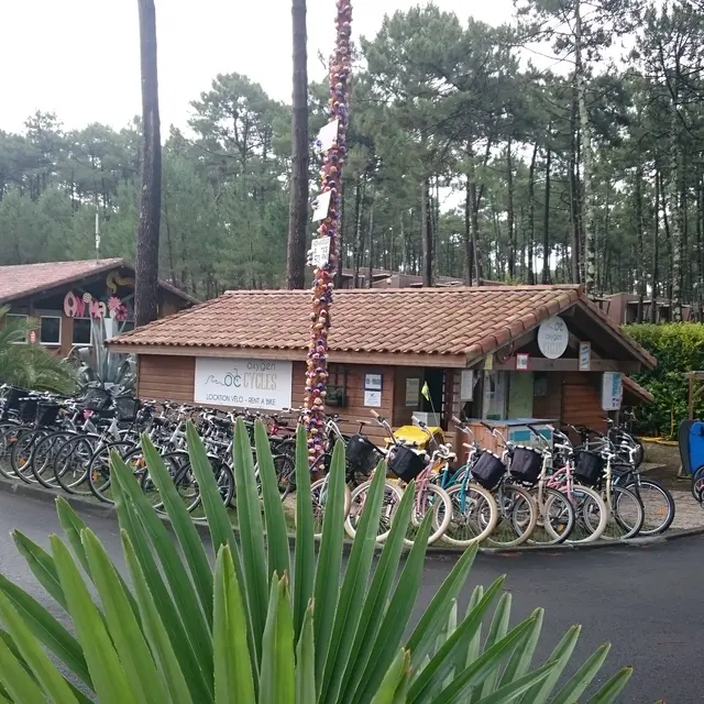 Oxygencycles