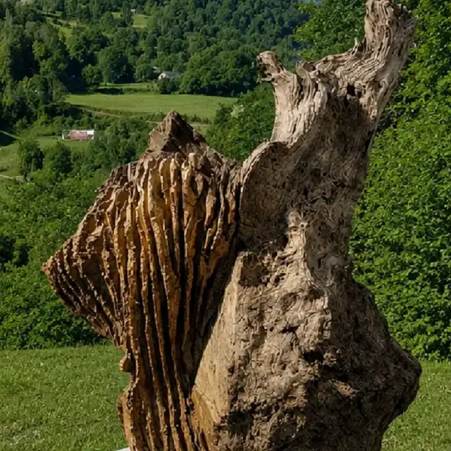 Oeuvre Guy Foucat
