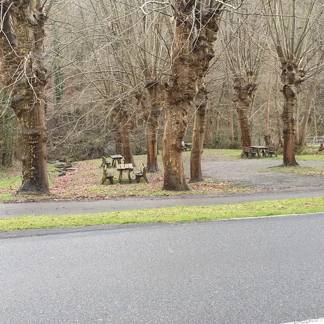 Aire_Pique-nique_BUGNEIN