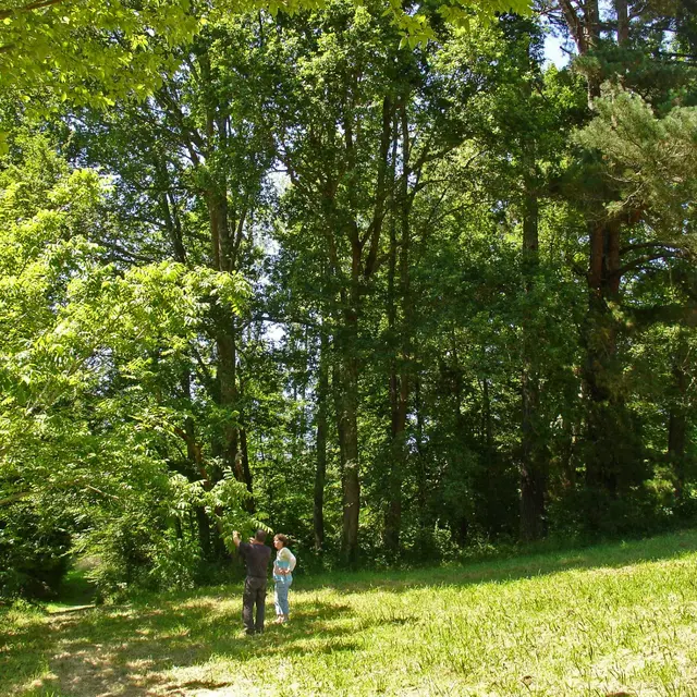 Arboretum de Payssas - Vue 3 (Bourdet Joseph)