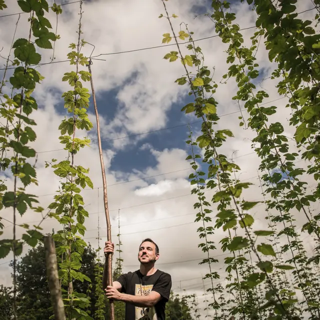 Jean-Christophe Bert - Brasserie de l'Arrec à Estialescq