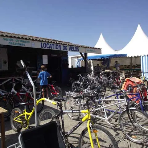 Brooks bike