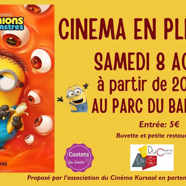 CASTETS-cinépleiair Minions