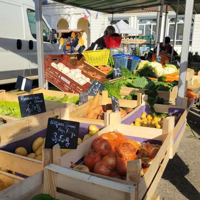 CLNT-SAINT JULIEN EN BORN-Marché traditionnel (12)TS