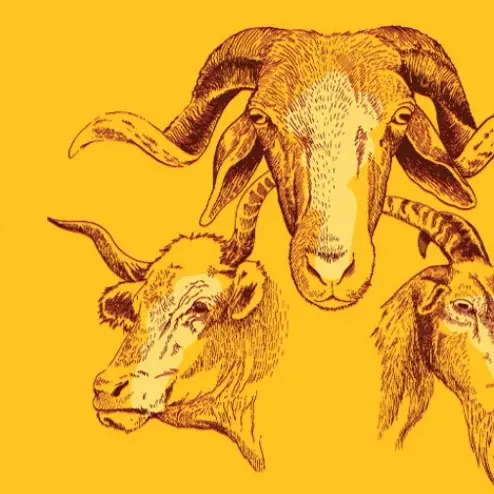 Fête du fromage 2026