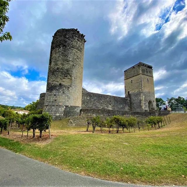 Cheteau-bellocq-bearn-vignes