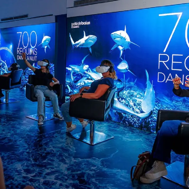 700 requins dans la nuit - Cité de l'ocean