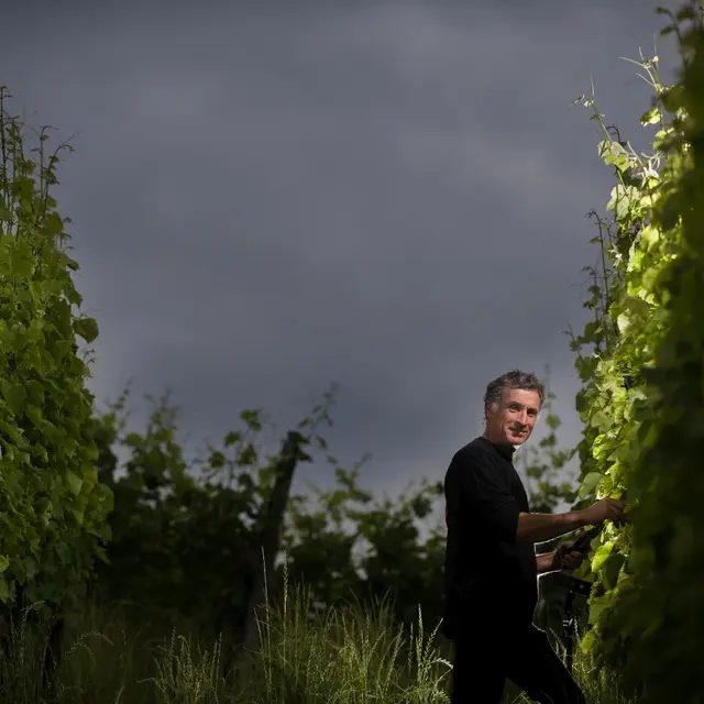 Domaine Tinou à Lasseube