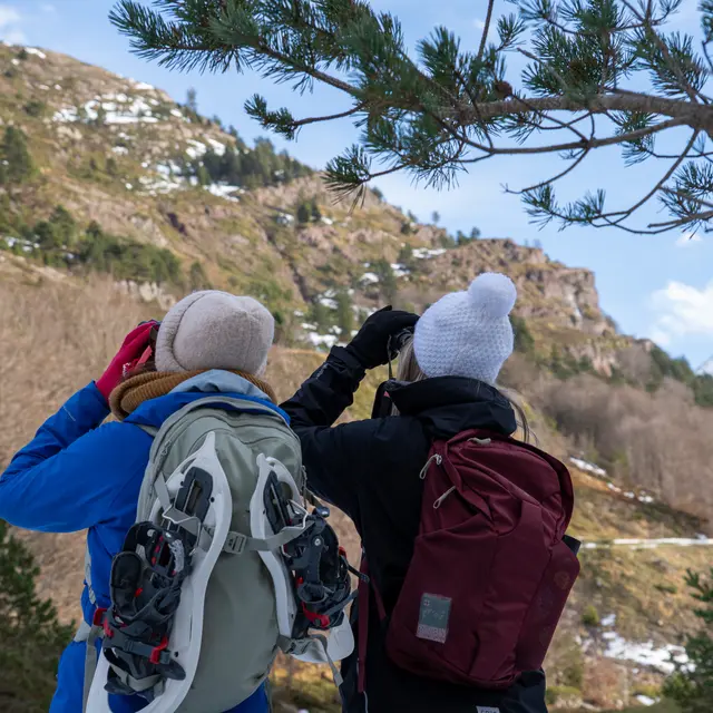 Randonnée sur les traces de la faune sauvage