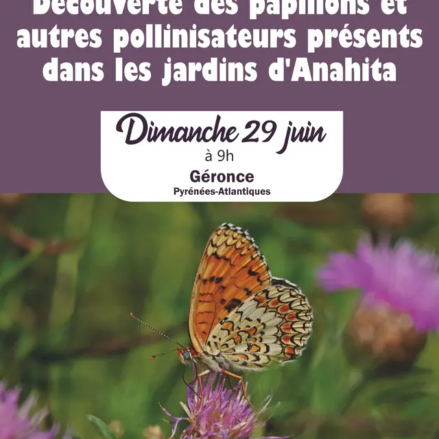 Découverte des papillons et autres pollinisateurs présents dans les jardins d'Anahita
