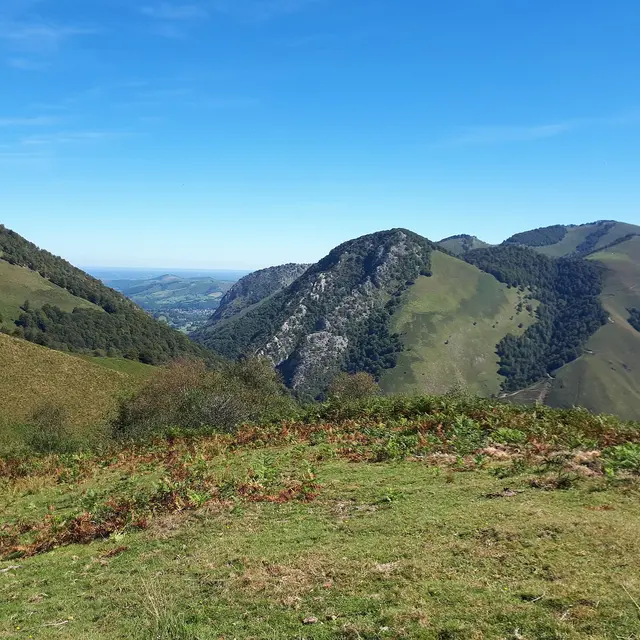 VTT N°15 - Descente d'Issarbe