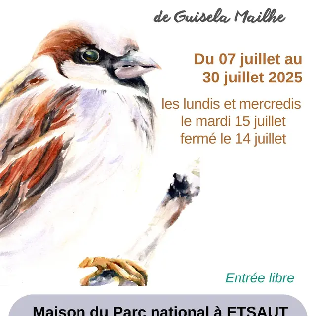 Expo_aquarelles_juillet_2025_Maison_ Parc national