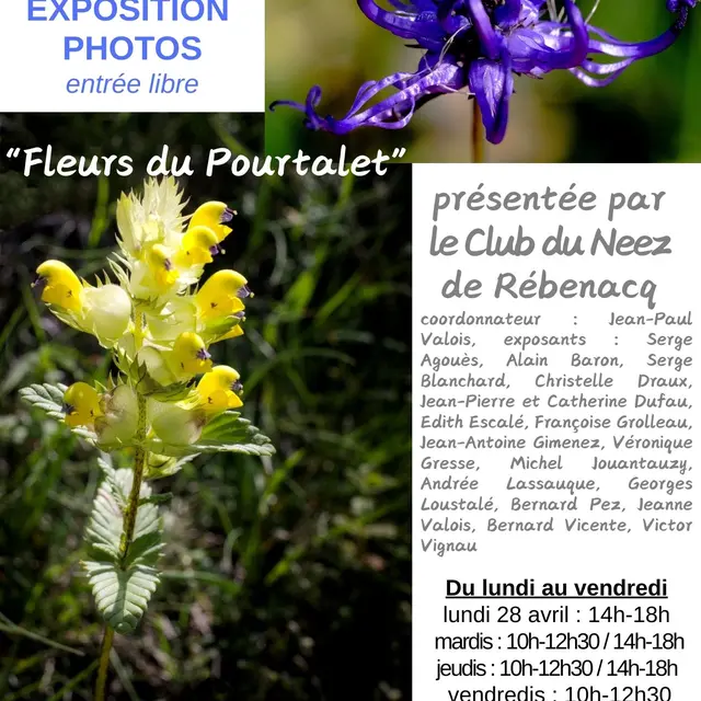 Exposition photo - Exposition_Flore_maison du parc national_2025_04_22