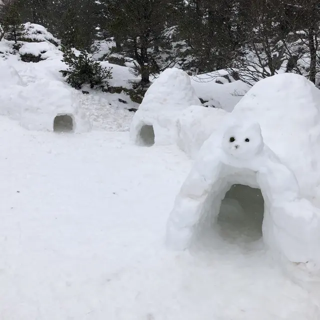 Famille igloo