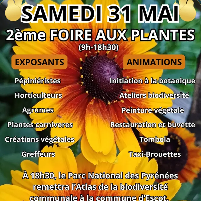 Foire aux plantes