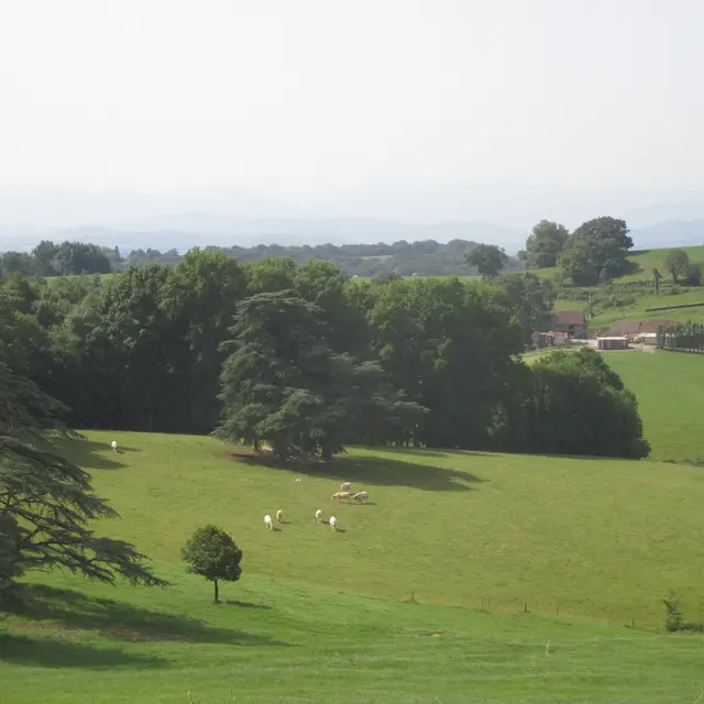 Vue paysagère Béarn des Gaves