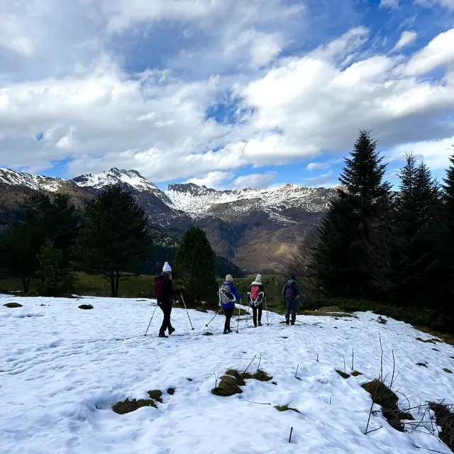 Randonnée Hivernale sur les traces de la faune sauvage