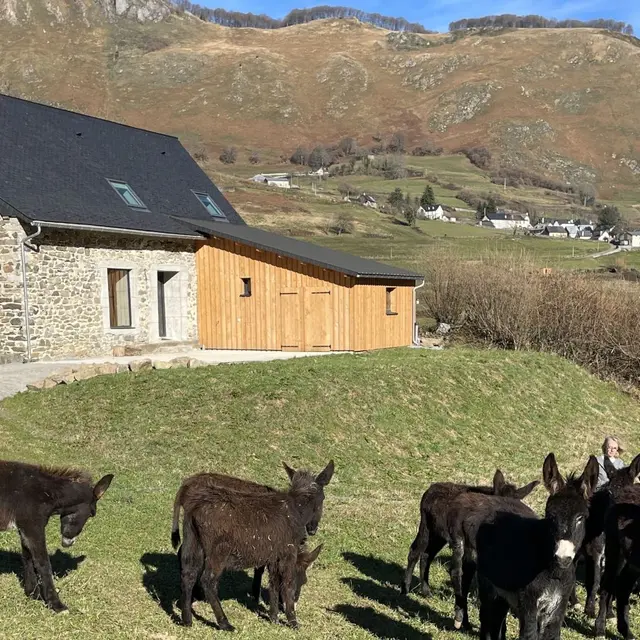 La Bourdette (les ânes sont en option)