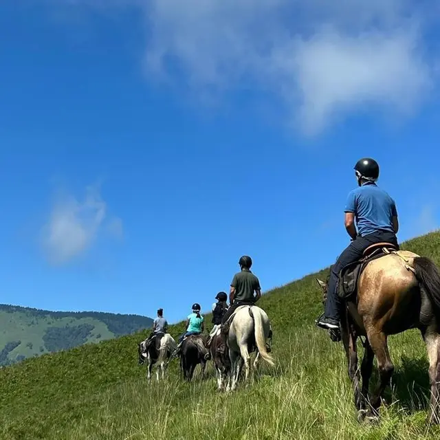 Balade à poney ou à cheval découverte de la vallée d'Aspe