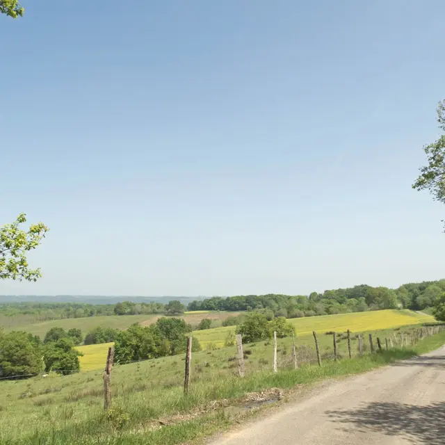 IMG-Ambiance-bucolique