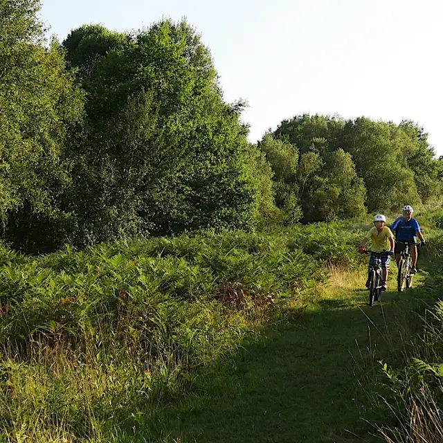 Bois du Haut VTT