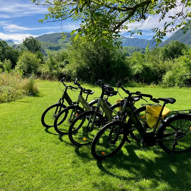 Location vélos VTC à assistance électrique