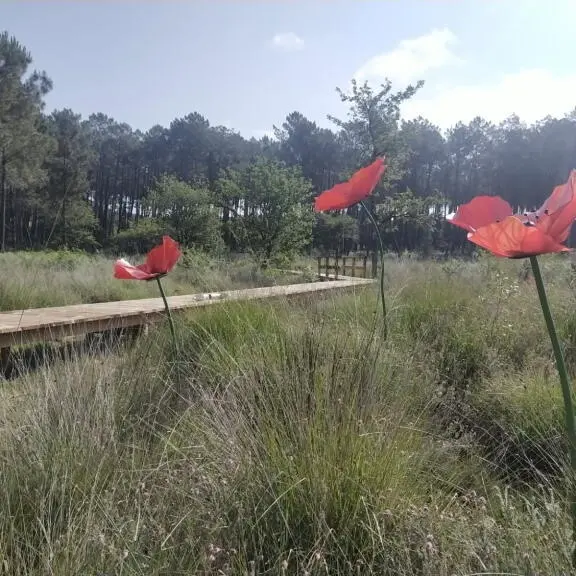 LEON-JardinCôted'Argent-1