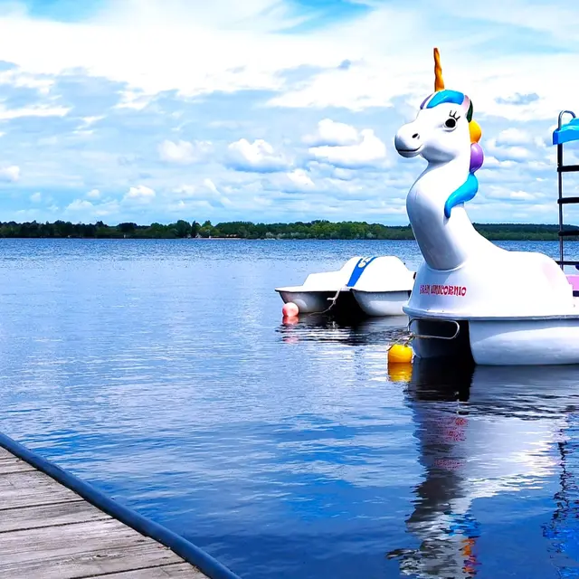 LICORNE CLNT HORIZONTAL