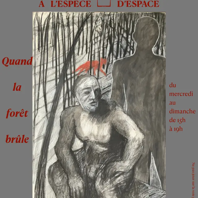 LIT-Expo Quand la  forêt brûle