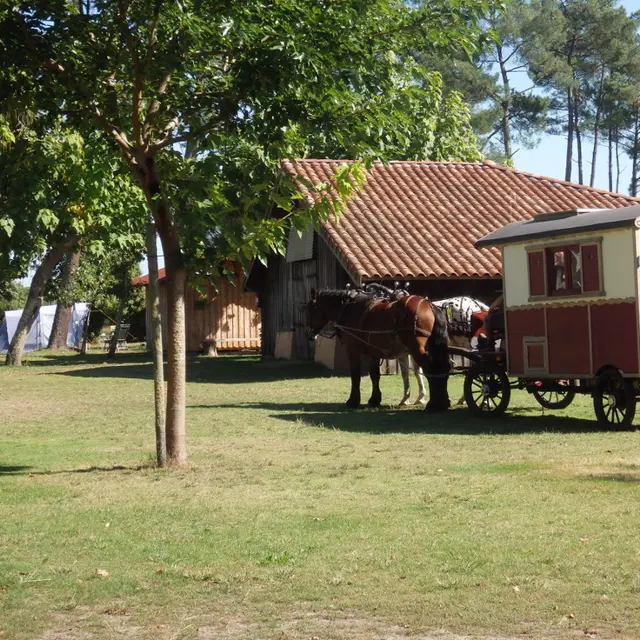 LIT-camping-LassalleTS