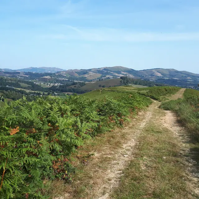 VTT N°16 - Le Tremey