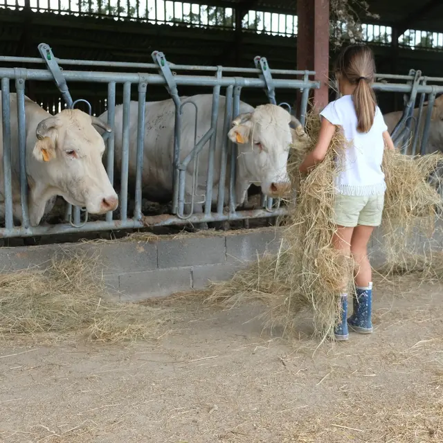 Les apprentis Eleveurs