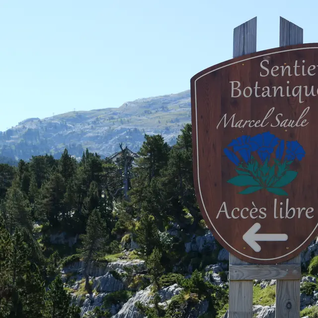 Sentier botanique Marcel Saule