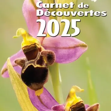 Programme 2025 - CPIE Béarn