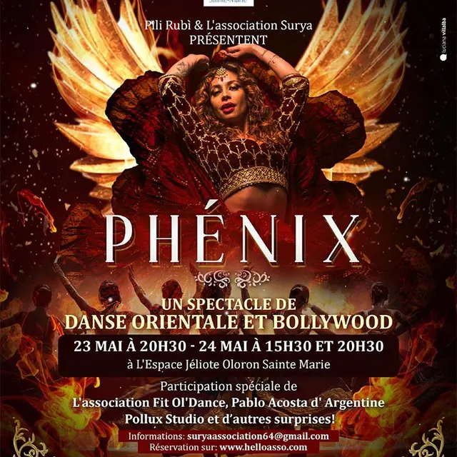 Phénix spectacle de danse