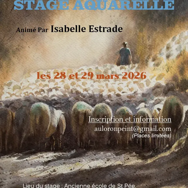 Stage aquarelle